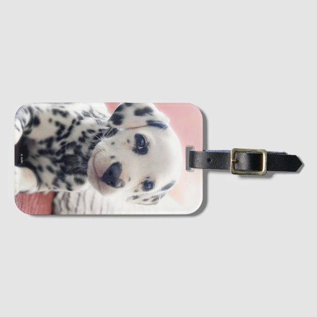 Dalmatian Heart Nose Luggage Tag (Front Horizontal)