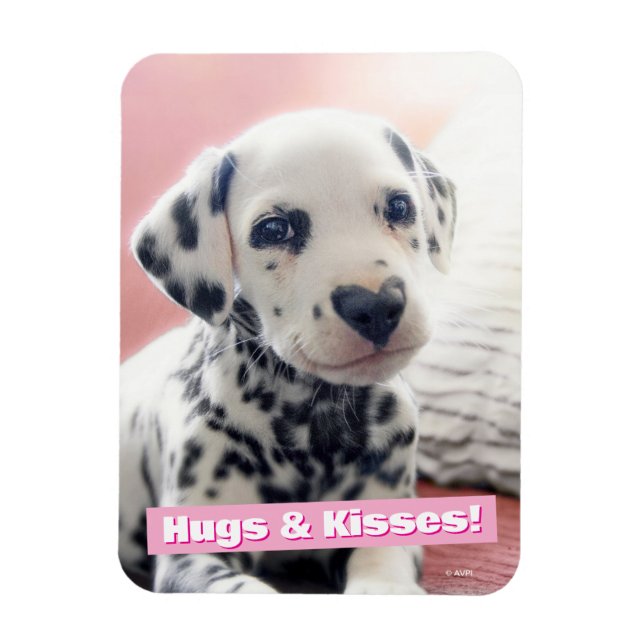 Dalmatian Heart Nose Magnet (Vertical)