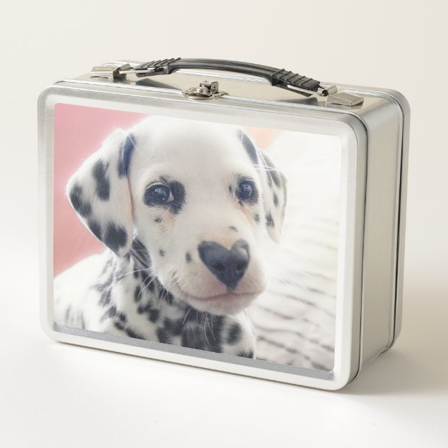 Dalmatian Heart Nose Metal Lunch Box (Front)