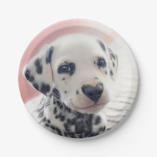Dalmatian Heart Nose Paper Plates