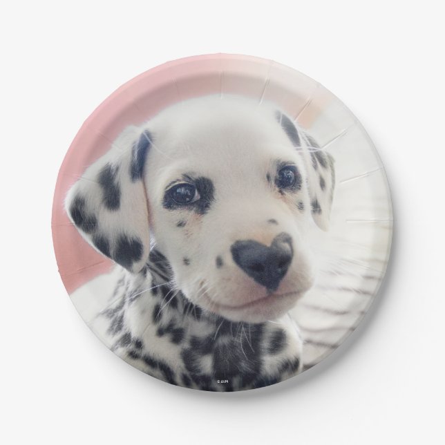 Dalmatian Heart Nose Paper Plates (Front)