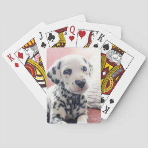 Dalmatian Heart Nose Poker Cards