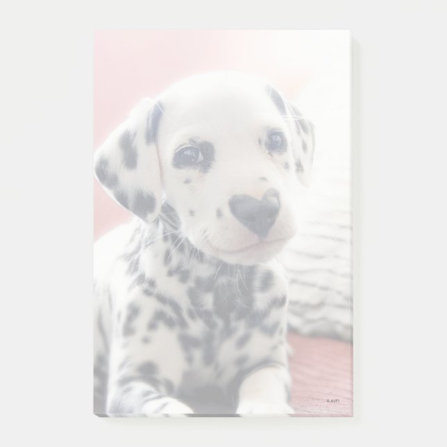 Dalmatian Heart Nose Post-it Notes (Front)