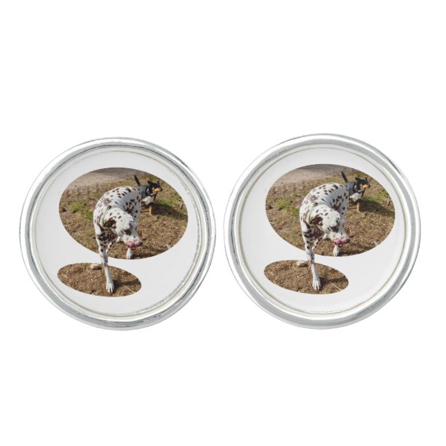 Dalmatian Illusion Art, Cufflinks (Front)
