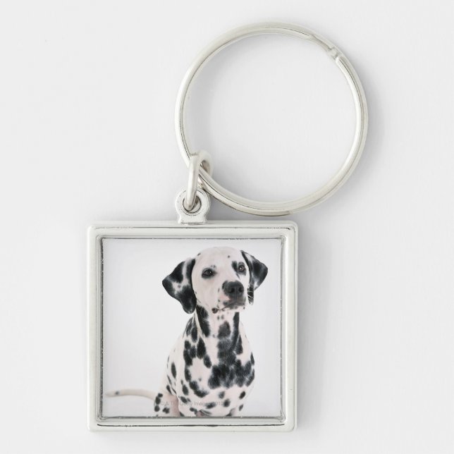 Dalmatian Keychain (Front)