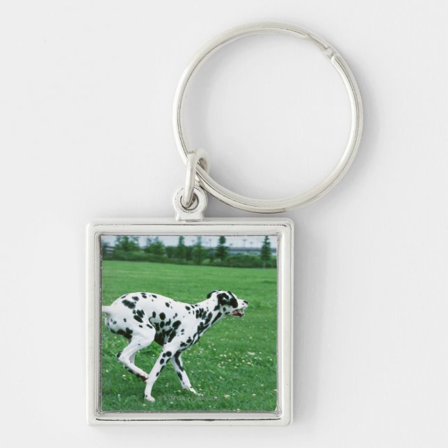 Dalmatian Keychain (Front)