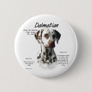 Dalmatian (liver) History Design Pinback Button