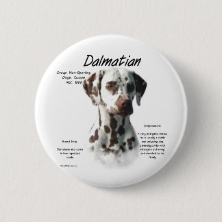 Dalmatian (liver) History Design Pinback Button