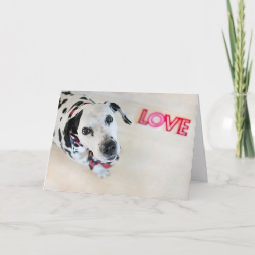 Dalmatian Love Valentines Card