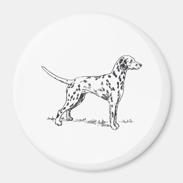 Dalmatian Magnet (Front)