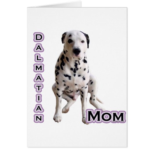 Dalmatian Mom 4 (Front)