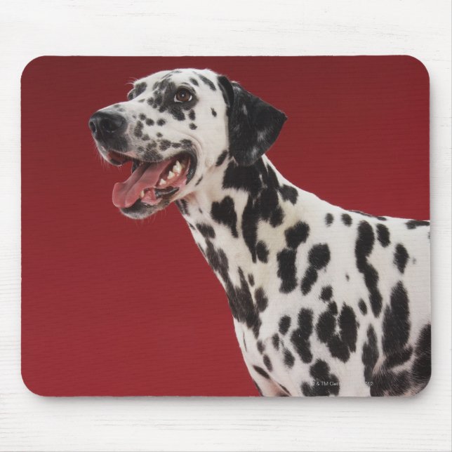 Dalmatian Mouse Pad (Front)