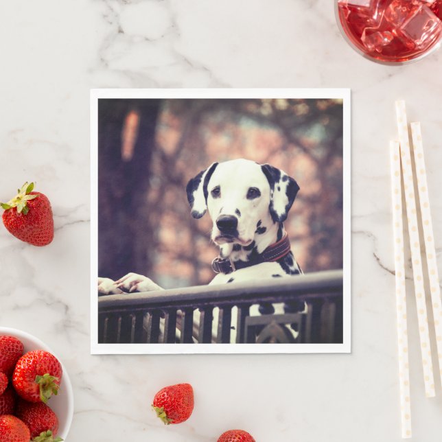 Dalmatian Napkins (Insitu)