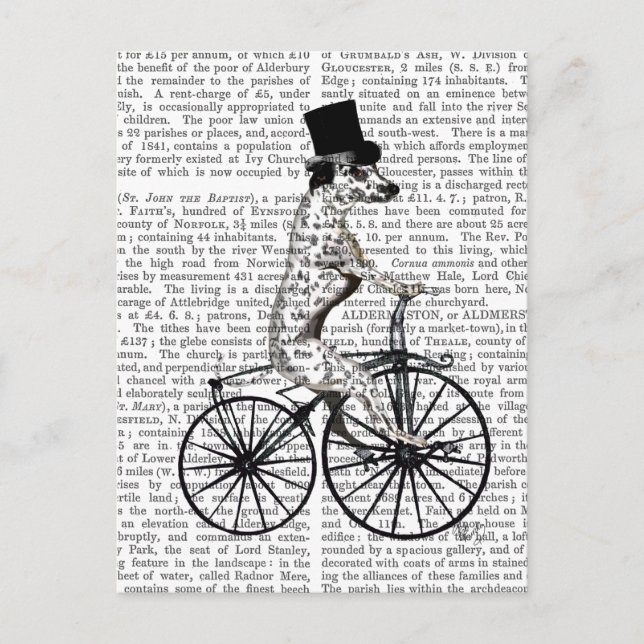 Dalmatian on Bicycle 2 Postcard (Front)