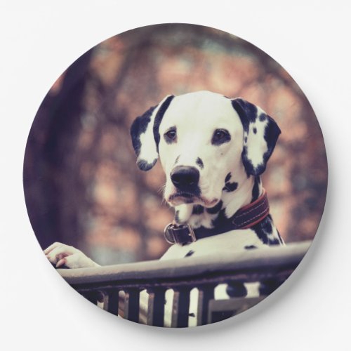 Dalmatian Paper Plates