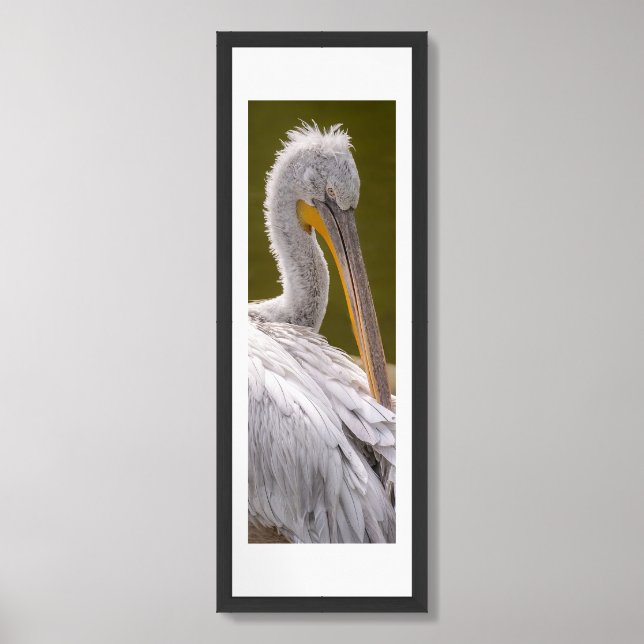 “Dalmatian Pelican Bird ”12”x36” Framed & Matted  Framed Art (Framed Front)