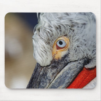 Dalmatian Pelican Mouse Pad
