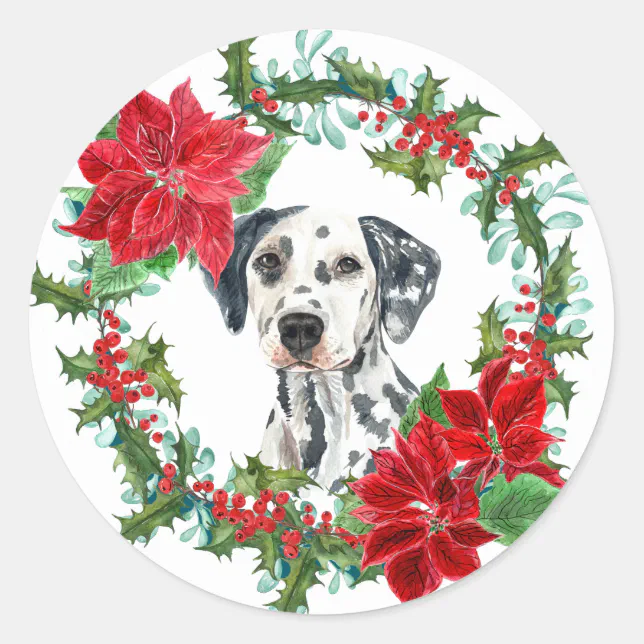 Dalmatian Poinsettia Holly Berry Christmas Wreath Classic Round Sticker ...