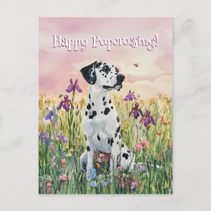 Dalmatian Postcrossing - Postcard