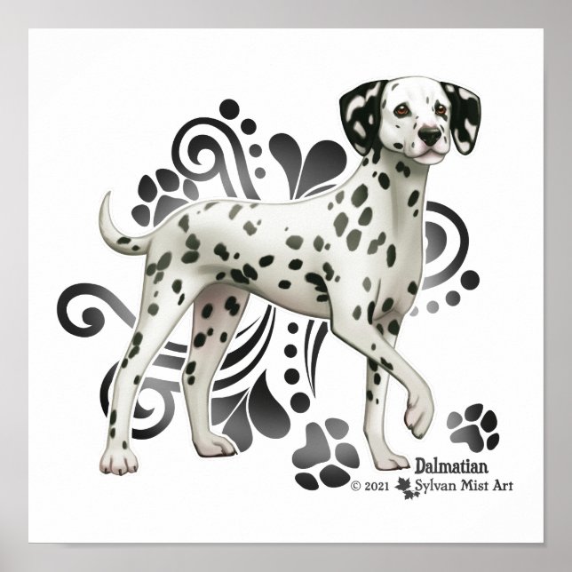 Dalmatian Poster (Front)