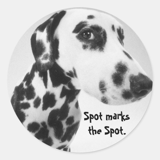Dalmatian Products Classic Round Sticker (Front)