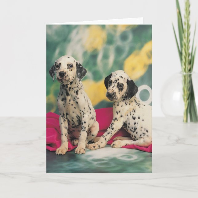 Dalmatian Puppies Card (Front)