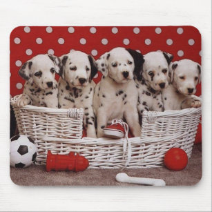 Dalmatian Puppies in a Basket Mousepad