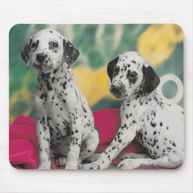 Dalmatian Puppies Mousepad (Front)