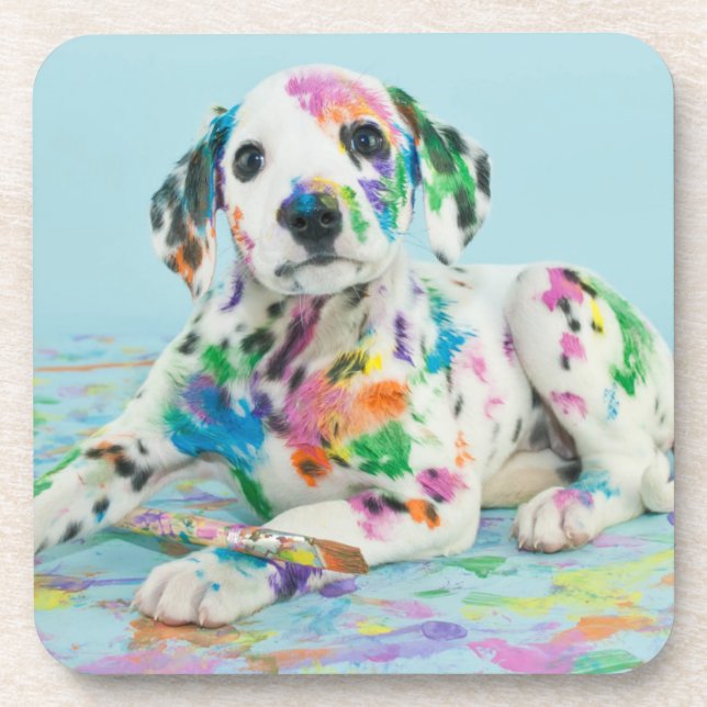 Dalmatian Puppy Beverage Coaster (Front)