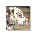 Dalmatian Puppy Canvas Print
