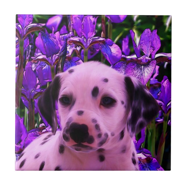 Dalmatian Puppy Dog Art Ceramic Tile (Front)