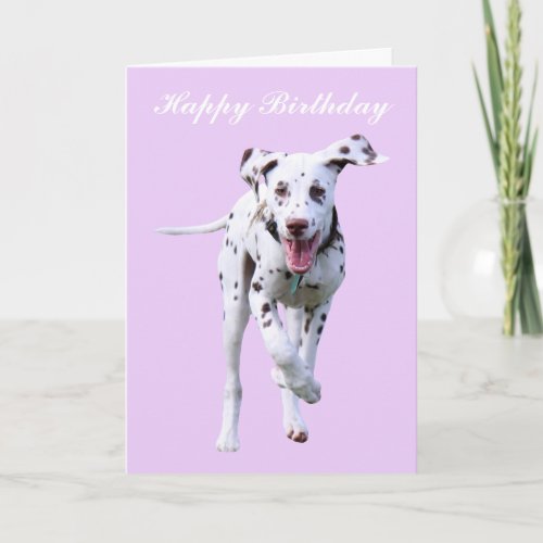 Dalmatian puppy dog happy birthday card