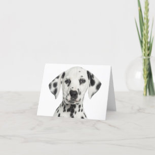 Dalmatian Puppy Dog Hello, Thank You, Love, Sorry Card