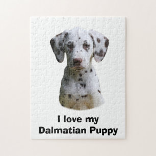 Dalmatian puppy dog photo jigsaw puzzle