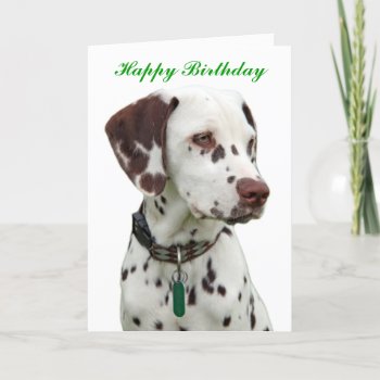 Dalmatian Puppy Happy Greeting Card by roughcollie at Zazzle