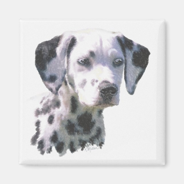 Dalmatian Puppy Magnet (Front)