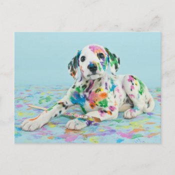 Dalmatian Puppy Postcard by cutestbabyanimals at Zazzle