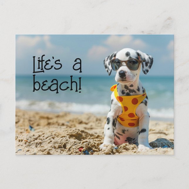 Dalmatian Puppy wearing sunglasses Postcard (Front)