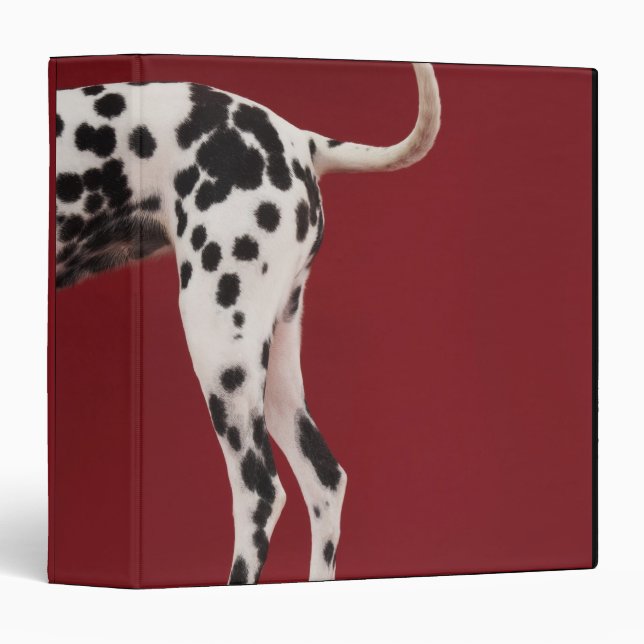 Dalmatian Rear 3 Ring Binder (Front/Spine)