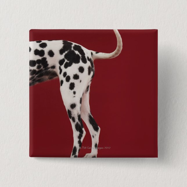Dalmatian Rear Pinback Button (Front)