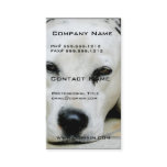 Dalmatian Resting Business Cards