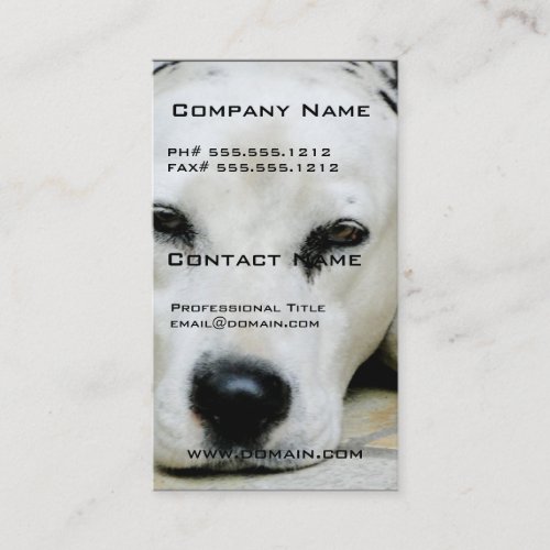 Dalmatian Resting Business Cards