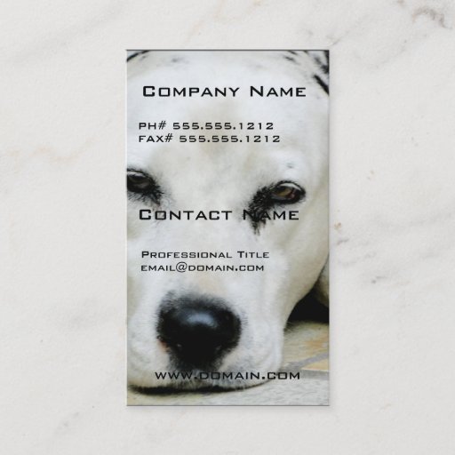 Customizable Dalmatian Resting Business Cards