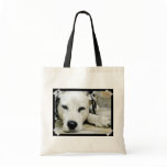 Dalmatian Resting  Small Tote Bag