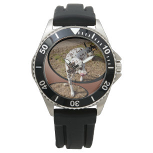 Dalmatian Stepping Out Widow Frame, Watch