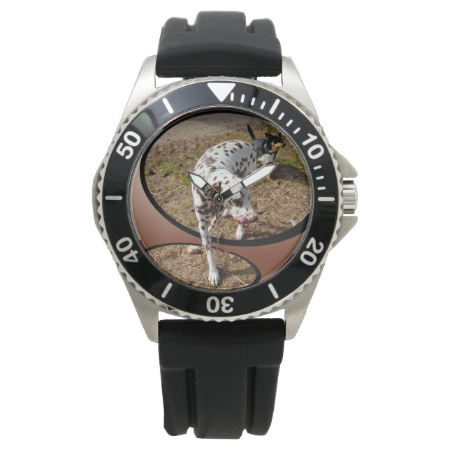 Dalmatian Stepping Out Widow Frame, Watch (Front)