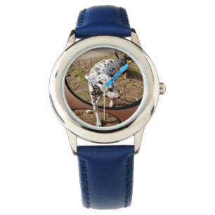 Dalmatian Stepping Out Widow Frame, Watch