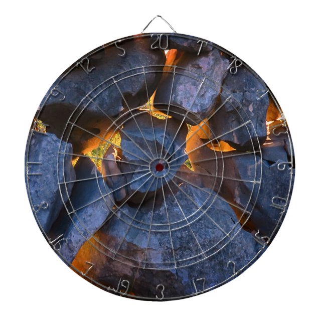 Dalmatian Stone Wall Texture Dart Board (Front)