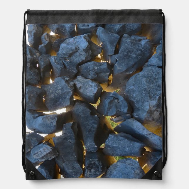 Dalmatian Stone Wall Texture Drawstring Bag (Front)