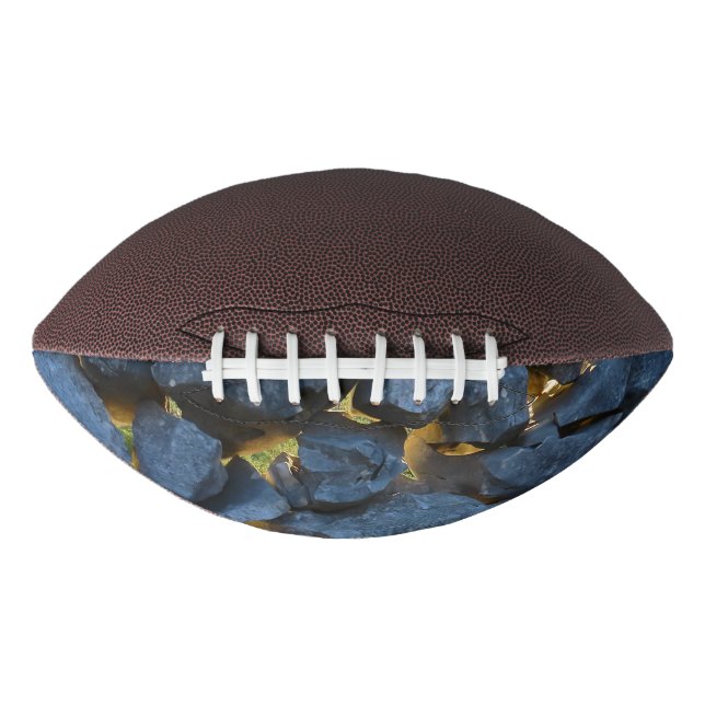 Dalmatian Stone Wall Texture Football (Front)